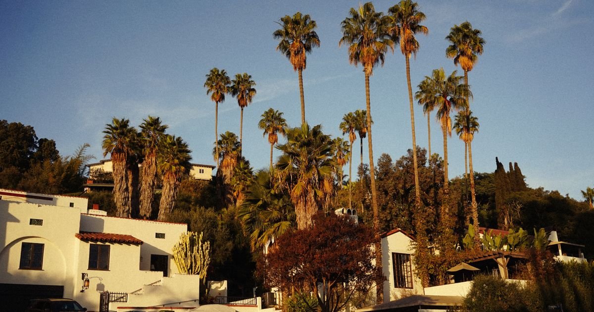 Palm-lined hillside neighborhood at sunset in Southern California
