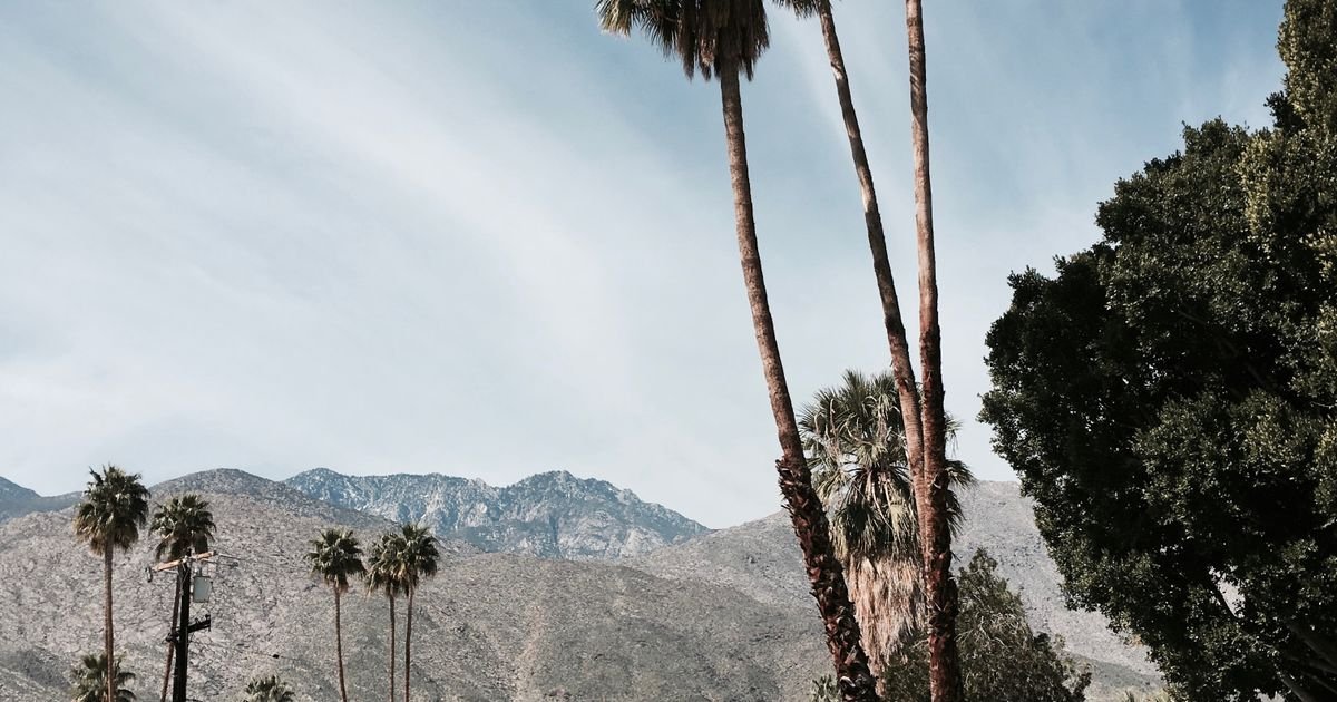 Palm trees and mountains in a Southern California neighborhood